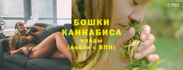 сатива Арсеньев
