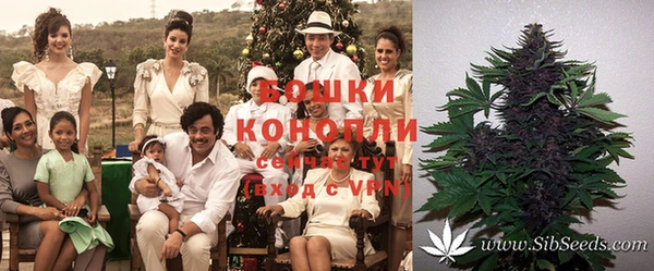 круглые Армянск