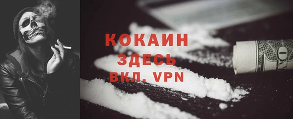 сатива Арсеньев