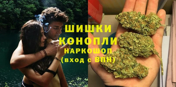 сатива Арсеньев