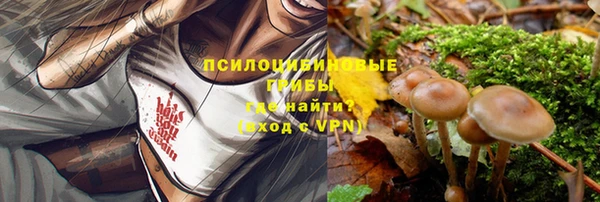 сатива Арсеньев