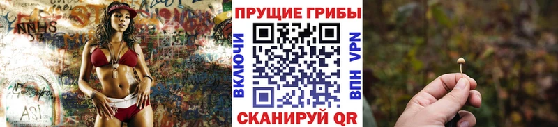 Галлюциногенные грибы Magic Shrooms  нарко площадка как зайти  Старая Купавна 