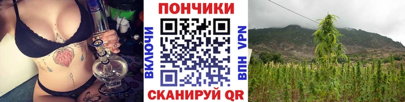Марихуана SATIVA & INDICA Старая Купавна